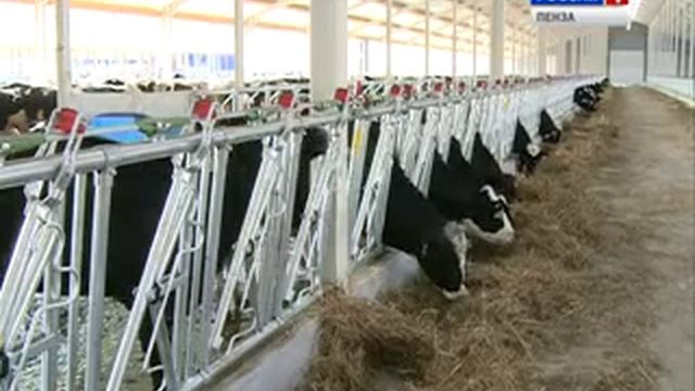 0ec9108f78f2cb3e8d722f84e7745203