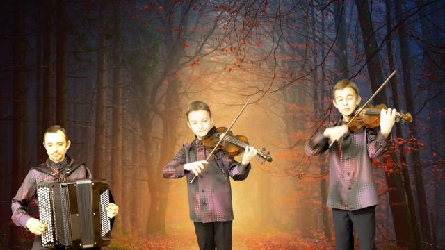 Bach & Snesar Trio – Concerto For Oboe & Violin 1mov.
