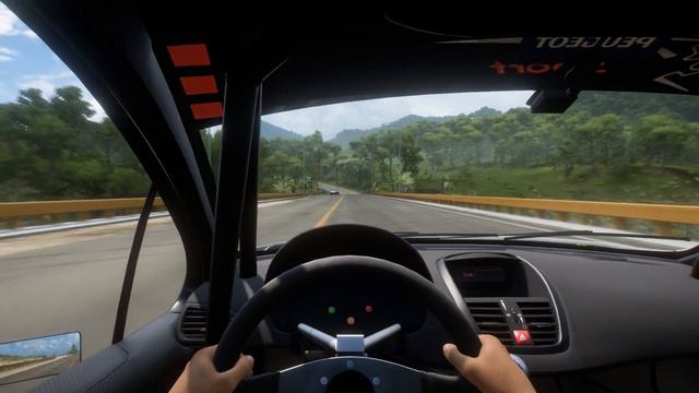 2007 Peugeot 207 Super 2000 - POV TEST DRIVE