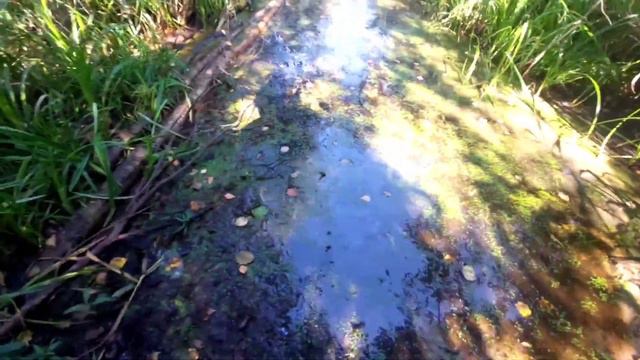 Путешествие на БЫВШЕЕ водохранилище РАЗДЯЛОВИЧИ...