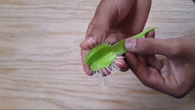 how to make venus fly trap at home carnivorous plant  handmade model