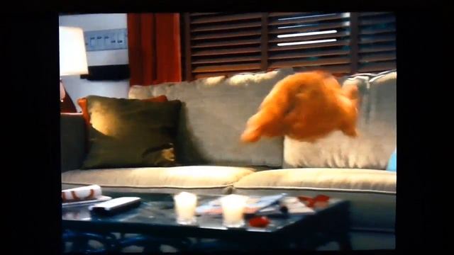 Garfield 2 A Tale Of Two Kitties Cat Scratch Fever