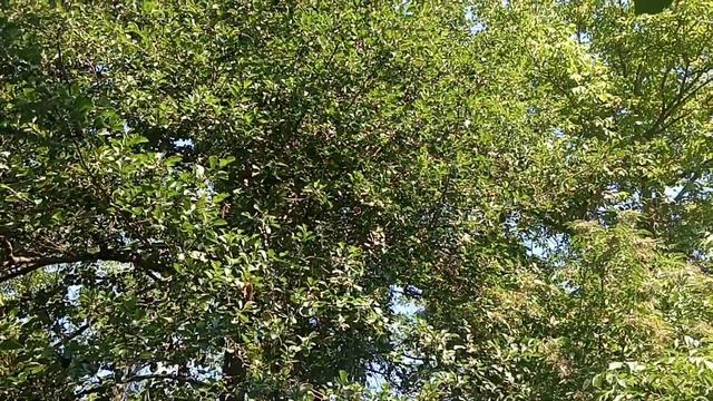 Север Черногории, июль 2022