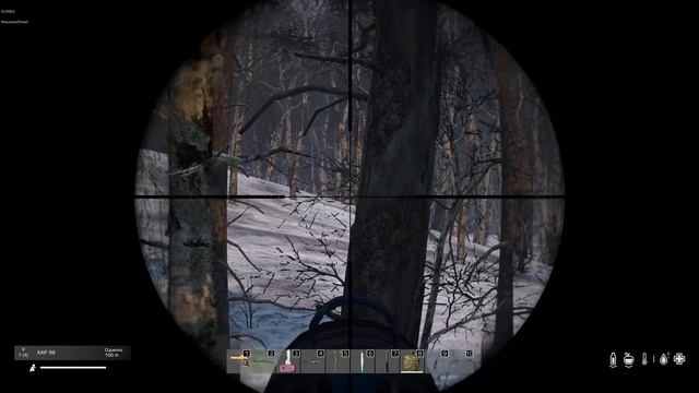 Дэйз ПВЕ Охота на мишек с карабином