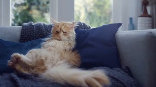 E1ec6dea5cc83b6bb49ec5459ae80134