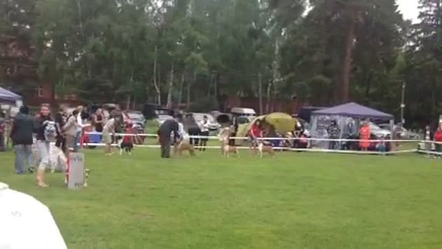 8fd077545f729e76d5cce709d879a6b8