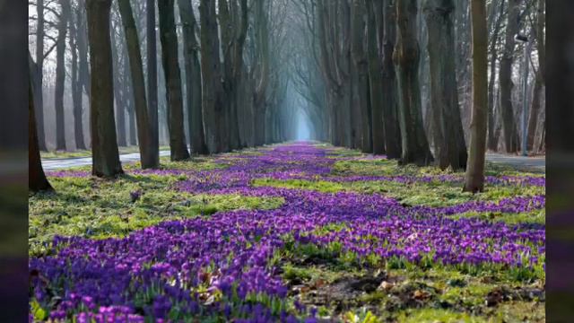 С первым днём весны