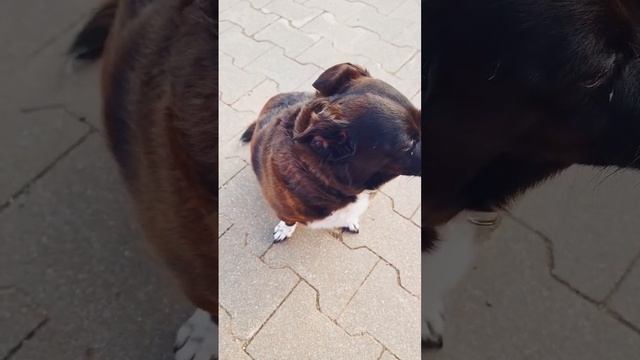 1b8939c17c2088f7c1556d83524de2dc