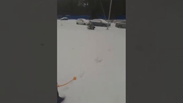 1072bfe983316d865952e40b6ab66737