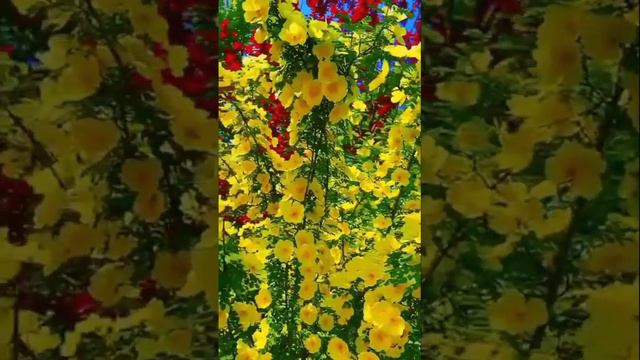 B7b04d9dd568a8007c4ab0d15df152a0