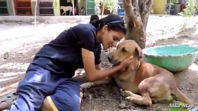 ТОП 5 САМЫХ ДОБРЫХ ПОСТУПКОВ ЛЮДЕЙ В СПАСЕНИИ ЖИВОТНЫХ !