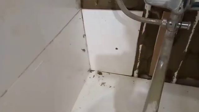 Ремонт ванной комнаты