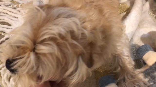 5fecfd092a6ebfe9d314ea505cdc12a1