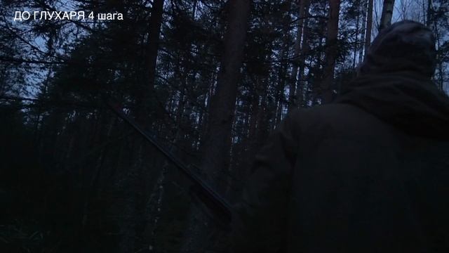 ПУТЬ В ОХОТУ. Весна. Глухарь.