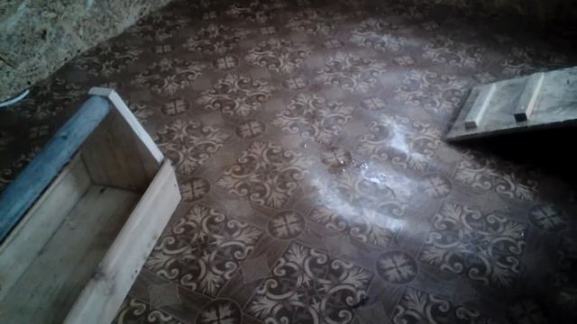 Мини курятник