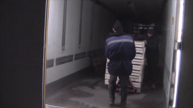 Карантинный фитосанитарный досмотр партии хурмы