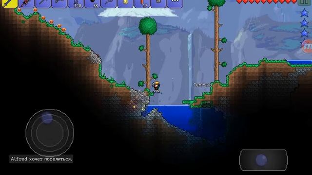 Сново Terraria  как я прокочался