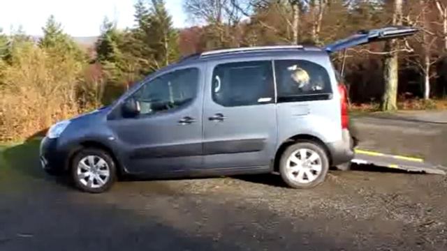 Berlingo Video For Website.wmv