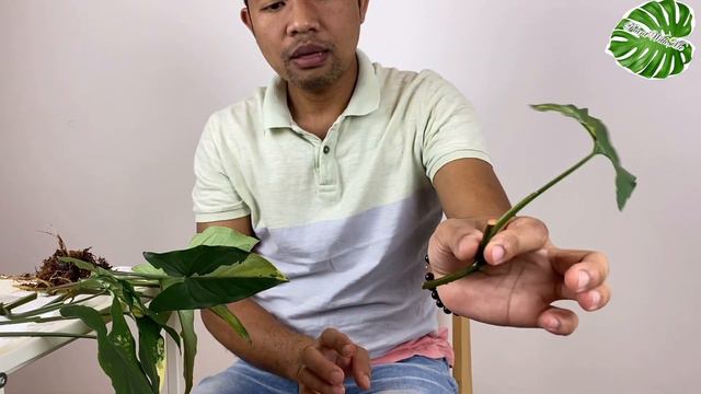 8f3f324f9c5c1fb420912f977281756e