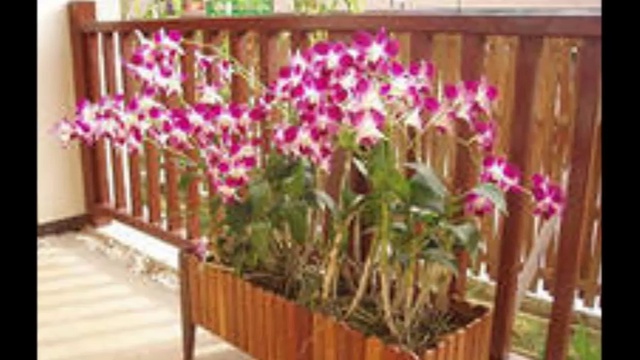 7ac2a7145100c8d72c8bfb3902758f4f