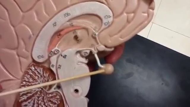 Afac9fe978824393c1a96e83d703616e