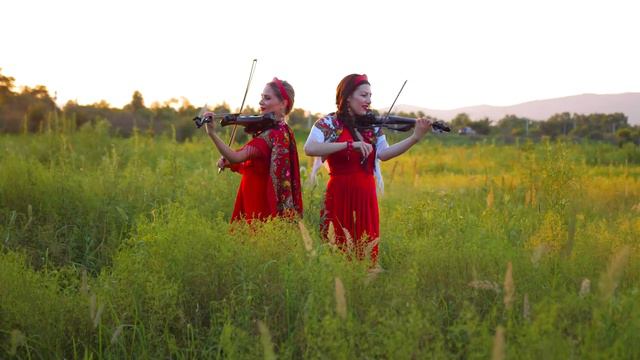 Презентация Skripka Pole