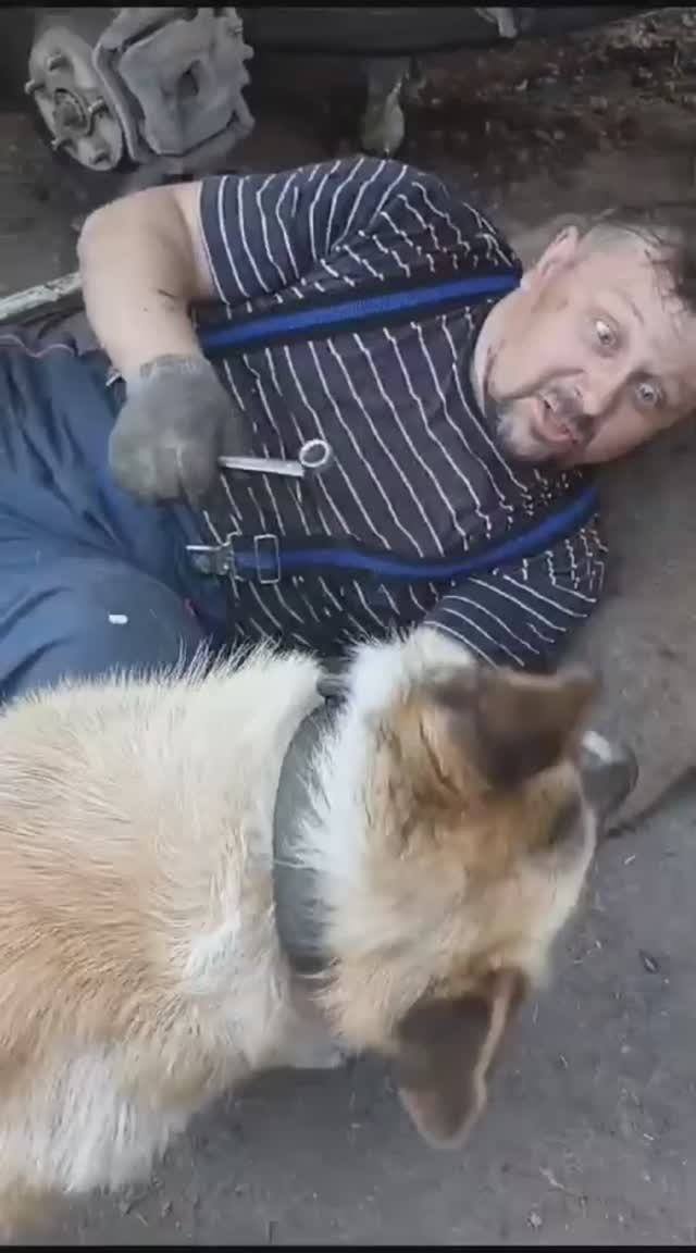 Кто сказал ГАВ-?!НИ СЪЕМ ТАК ПоКуСаЮ!