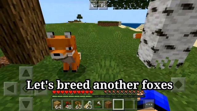 How To Tame A Fox In Survival Minecraft (tutorial)