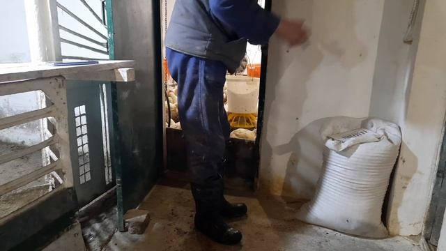 Efdb0b6a2e30d756e65b1fb94ead982a