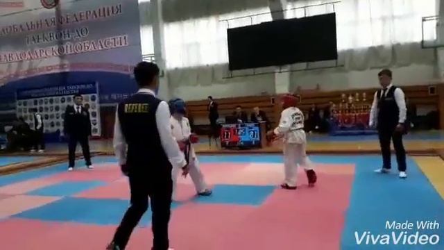 Тхэквондо GTF