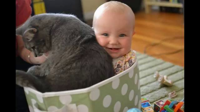 2ef851b741e08d1520d8f08743c5cf1c