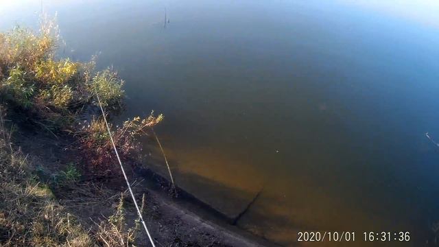 Мелкая щучка...