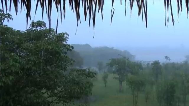 Очень нежная мелодия. Шум дождя. Засыпаешь за минуту!