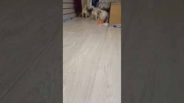 2353799d720b4d0fdc6ff2a00b9d9574