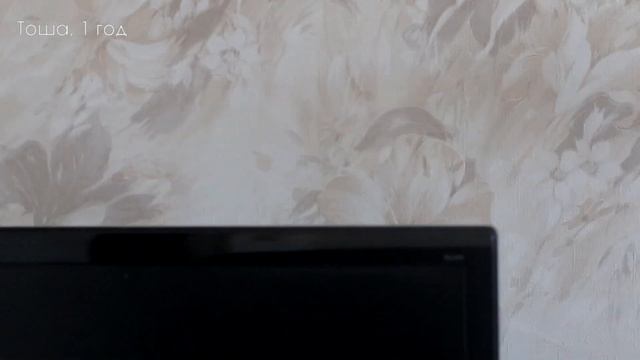 Тоше 1 год,  Весёлое пение для попугайчиков