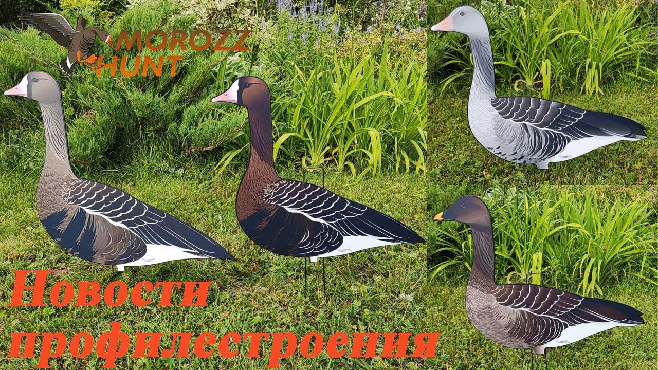 Наши новинки 2023