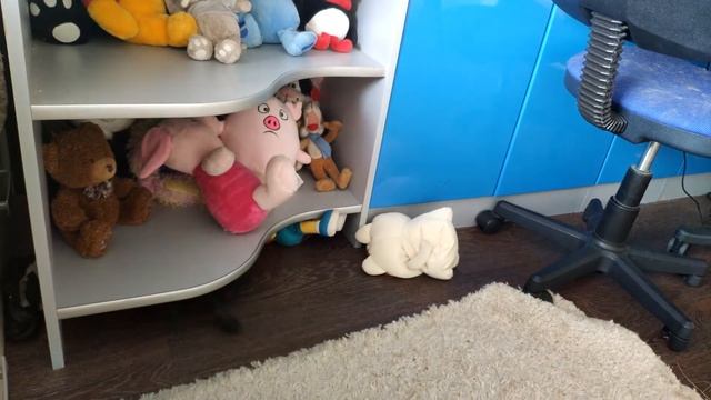 Ferret vs TOYS Хорек vs Игрушки  CATvsFRED