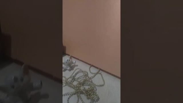 От воров  защита ??СИЛЬНЫЙ заговор