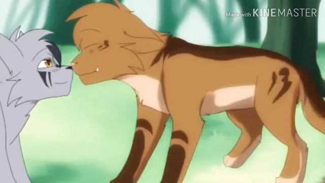 Коты Воители ~клип~ {Боль стекала по венам в низ}