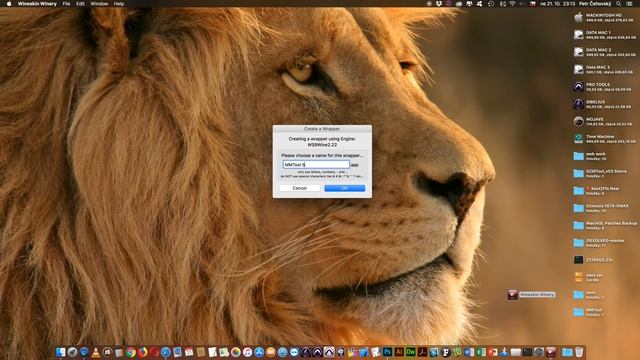 MMTool Pro OZM Bios (100 Series) V Mac OS