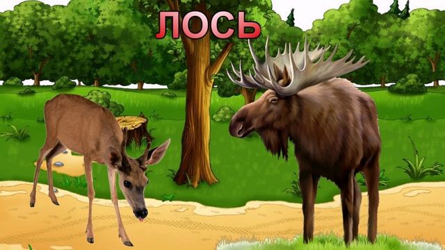 ?ДИКИЕ ЖИВОТНЫЕ РОССИИ?