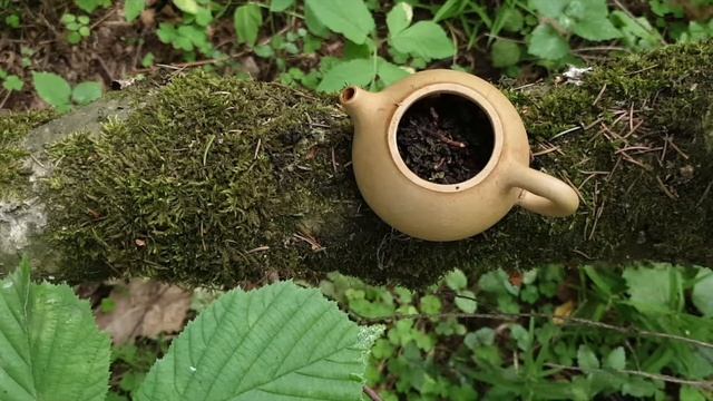 D1f201b2a45432e974a0303a43aa2667