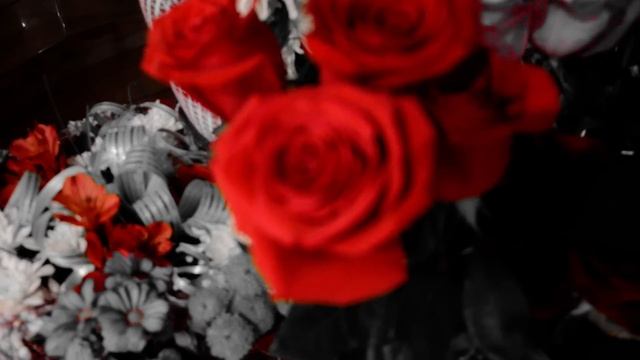 NIKON D5100 18-105VR Kit.... Video FULL HD... Selective Color...by Sikey003 )