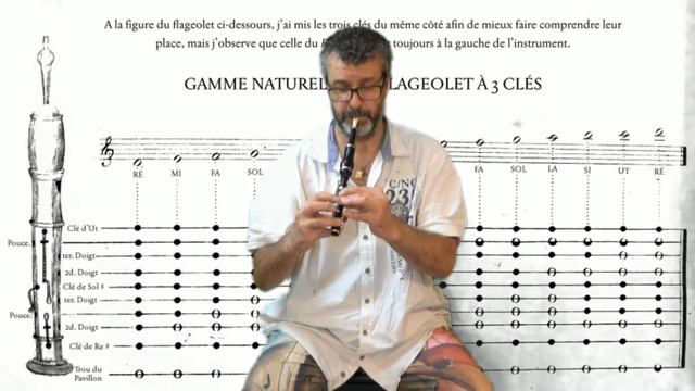 French Flageolet