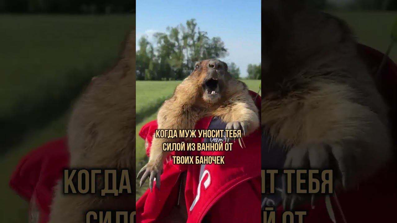 Ac48ca1f2599af1a1777116f423530a5