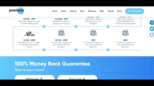 Pearlpay - обзор команды и социальной активности проекта