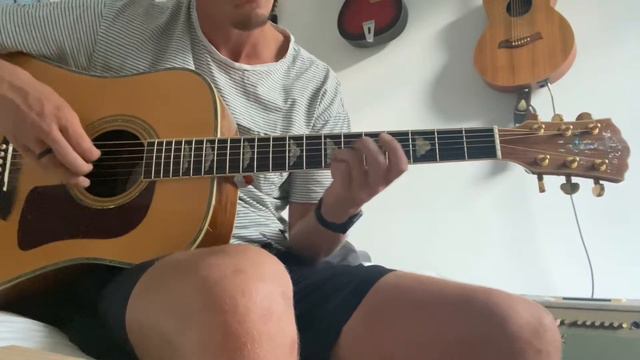 Washburn Wd-54sw Demo