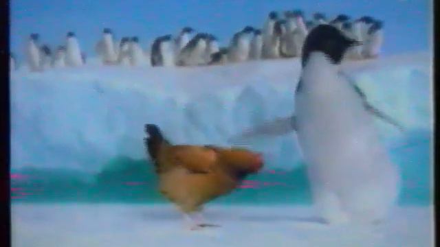 0de130014ac1146ab700d26e642b4560