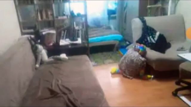 9e968863508307374ed198cafe05a4b3