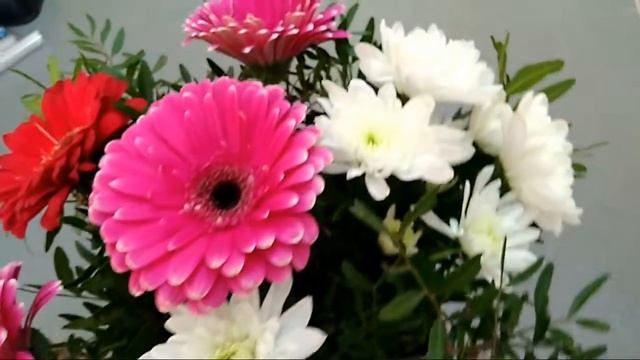 062d7e43c69117bf1cff5f8c7a8a7671